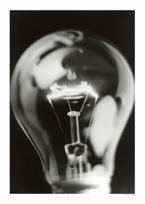 The Bulb / 1996 © Peter Ginter